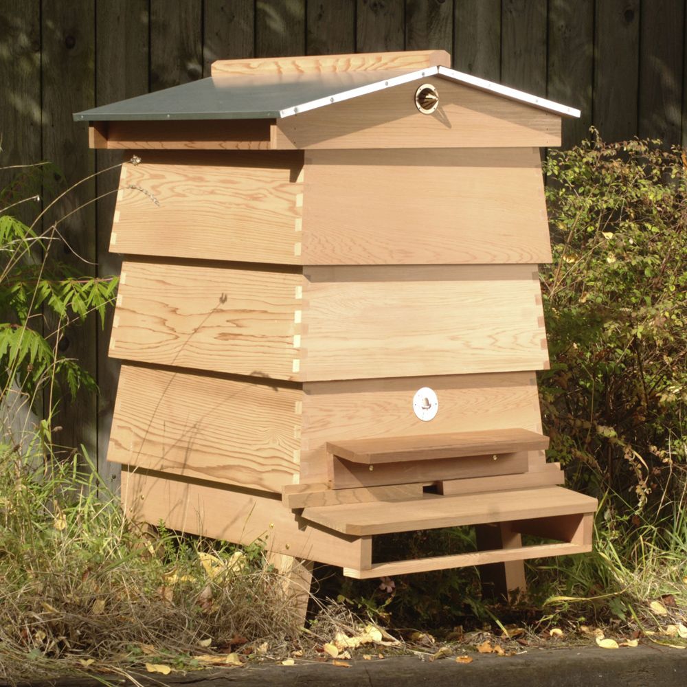 An image of WBC Hive Starter Kit Assembled, XS / 7 1/2