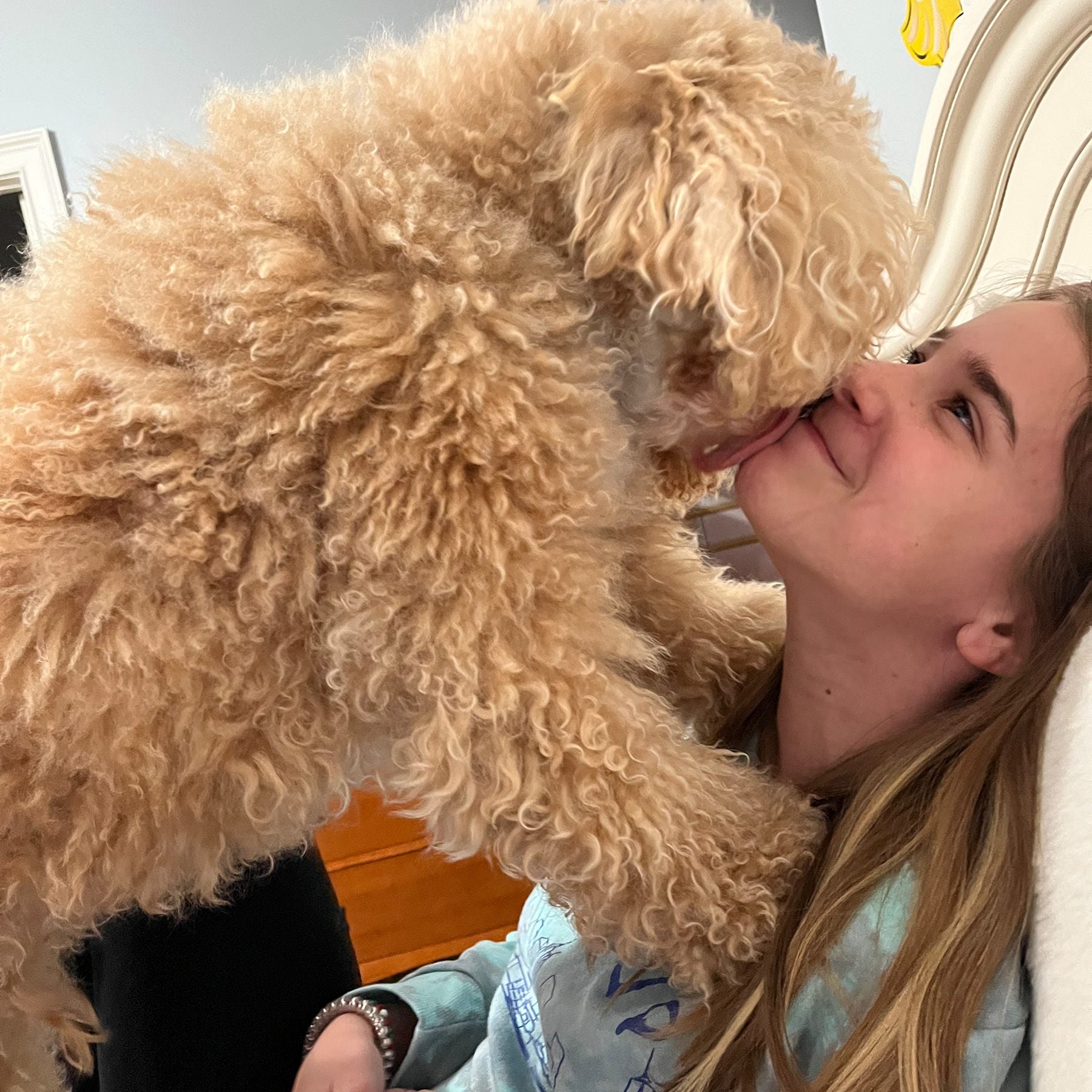 Goldendoodle licking a family member's face in a moment of affection