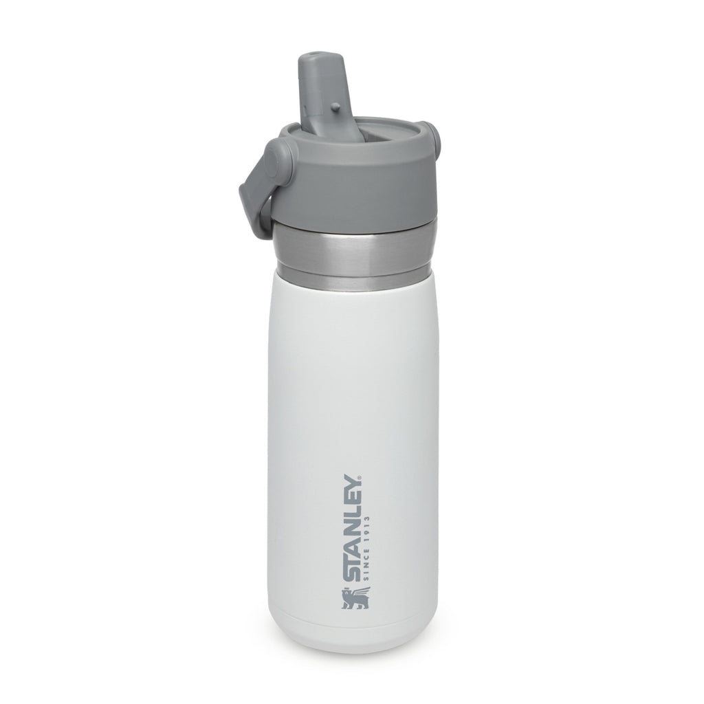  Stanley Quick Flip Stainless Steel Water Bottle .47L