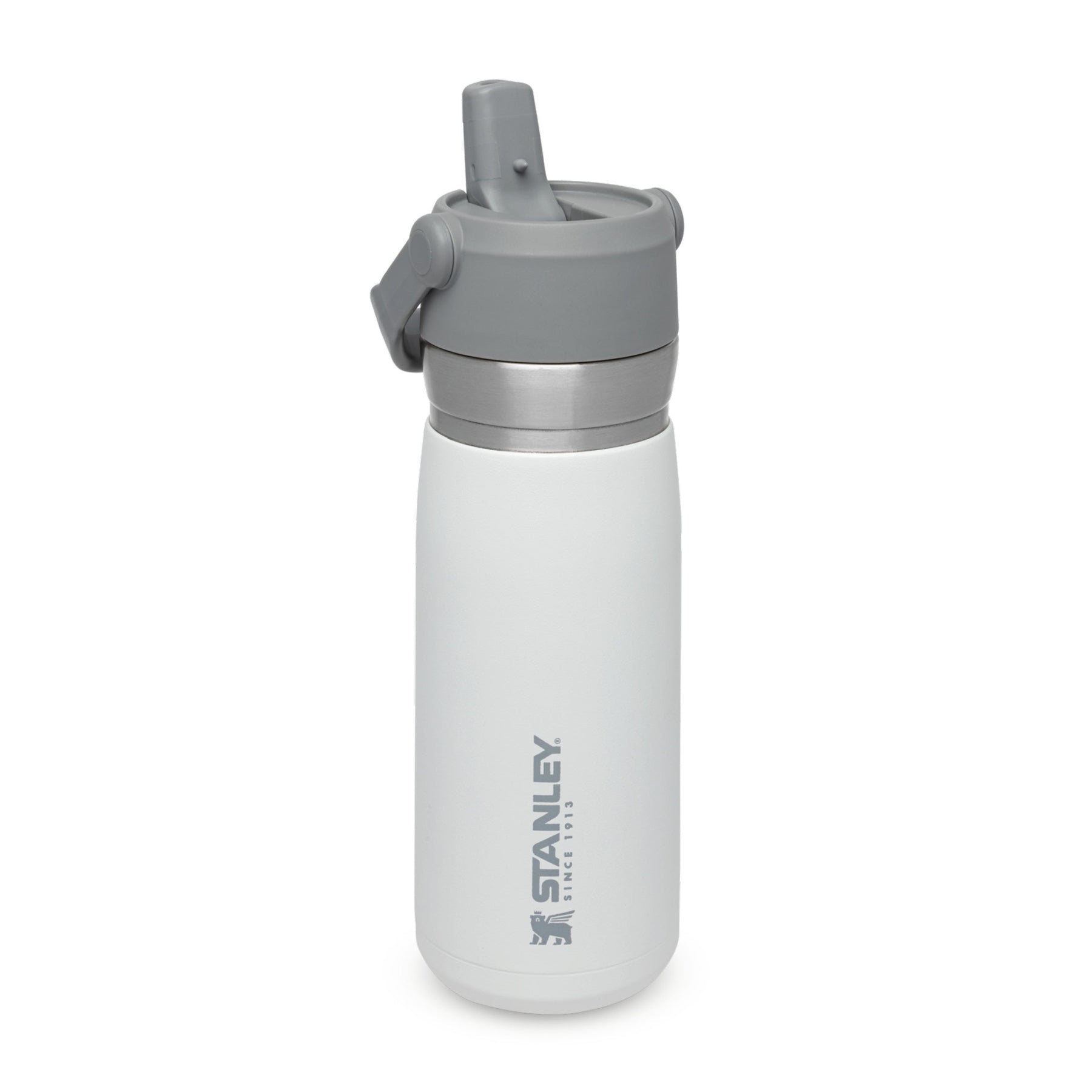 Stanley Quick-Flip Water Bottle, Buy online