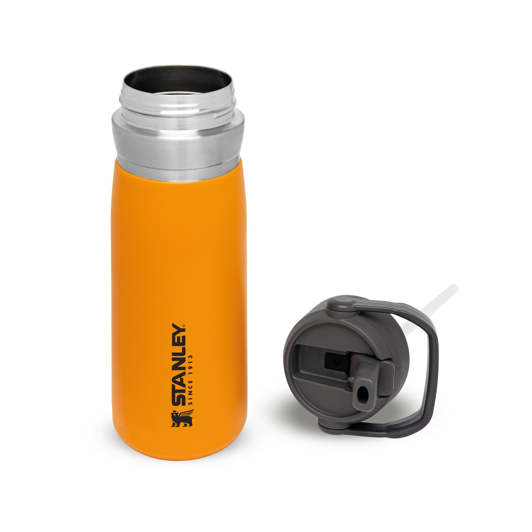 Thermal bottle Stanley, Go Quick Flip Water Bottle 24oz / 700ml Lagoon