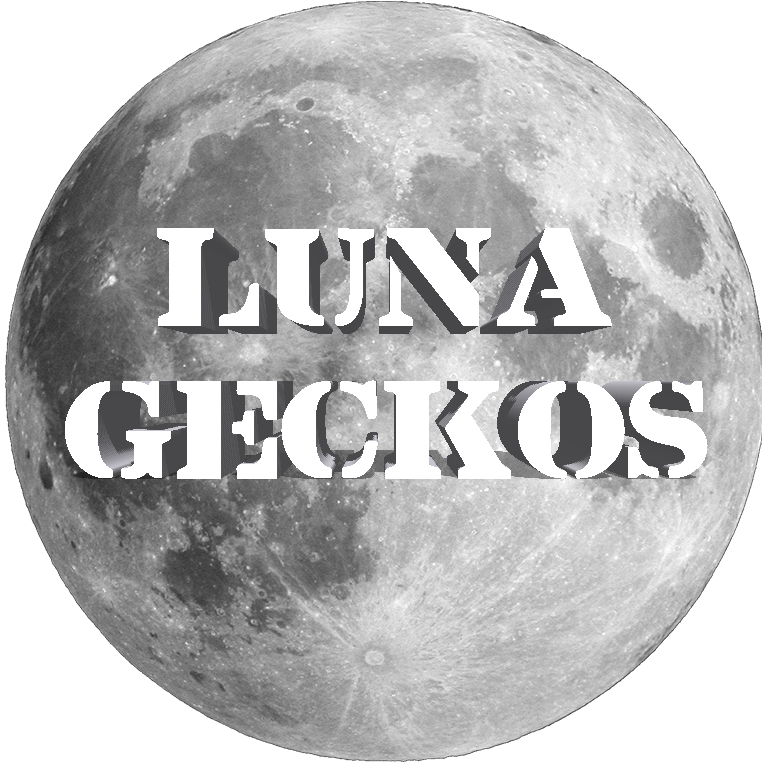 Luna Geckos