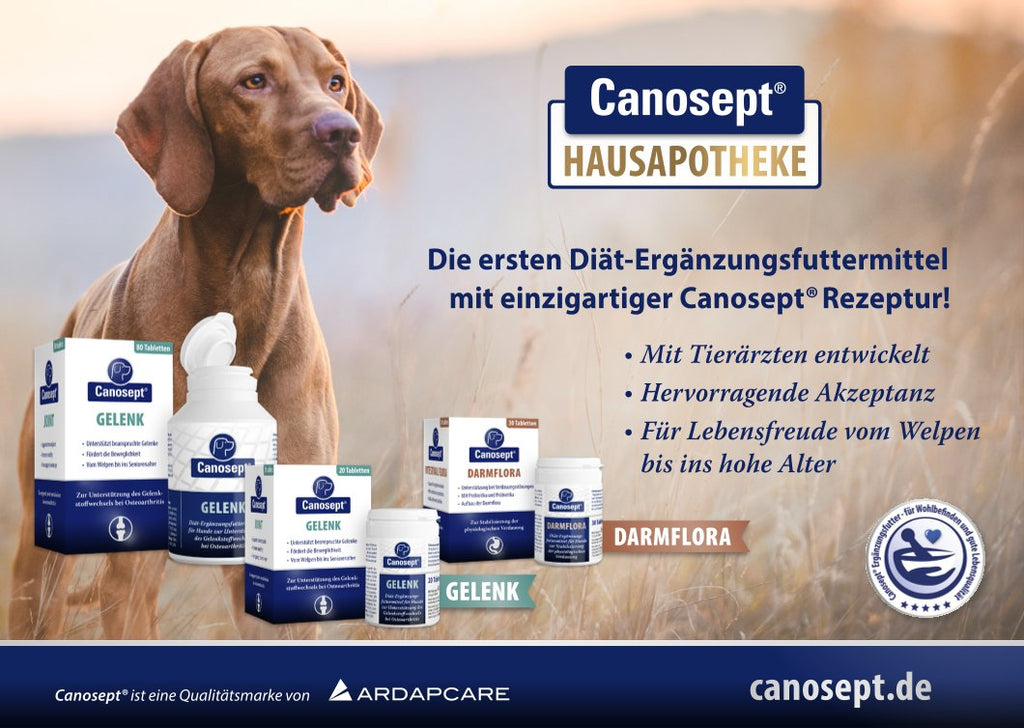 Anzeige Canosept Ergänzungsfuttermittel