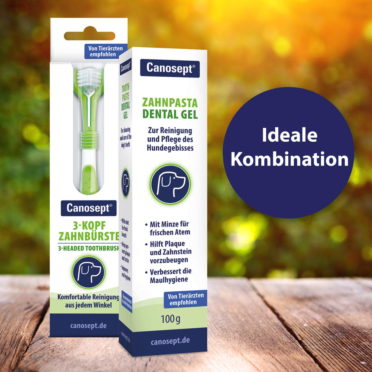 Canosept Zahnpasta und Dental Gel als ideale Kombination