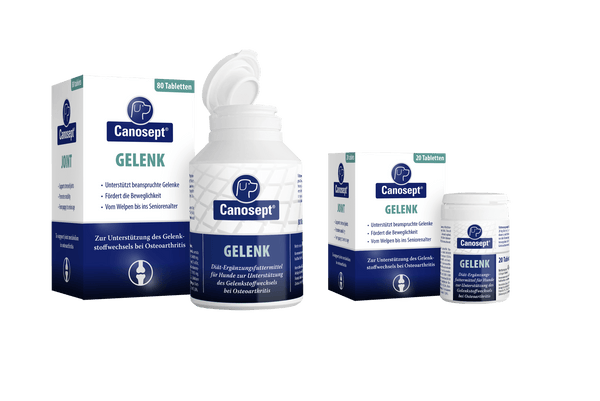 Canosept Gelenk Tabletten