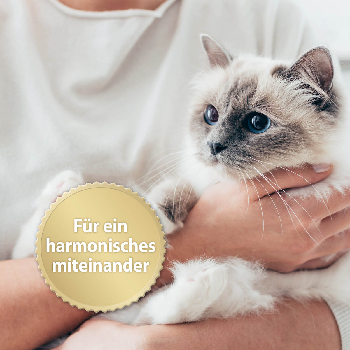 Felisept Home Comfort für Katzen Beruhigungshalsband