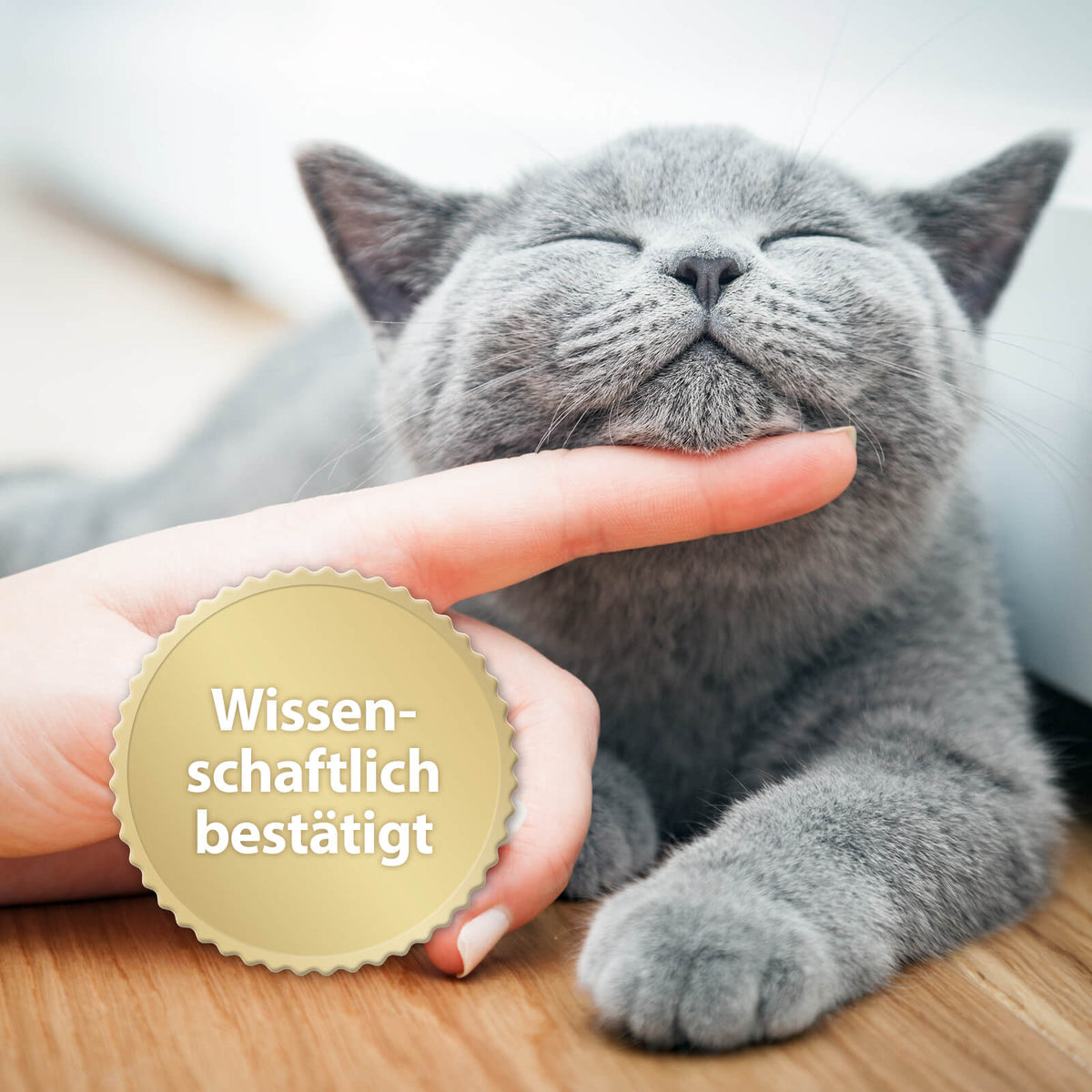 Katze wird am Kinn gestreichelt mit der Schrift 