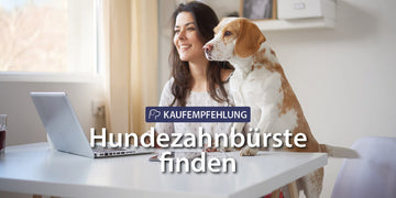 Hundezahnbuerste finden