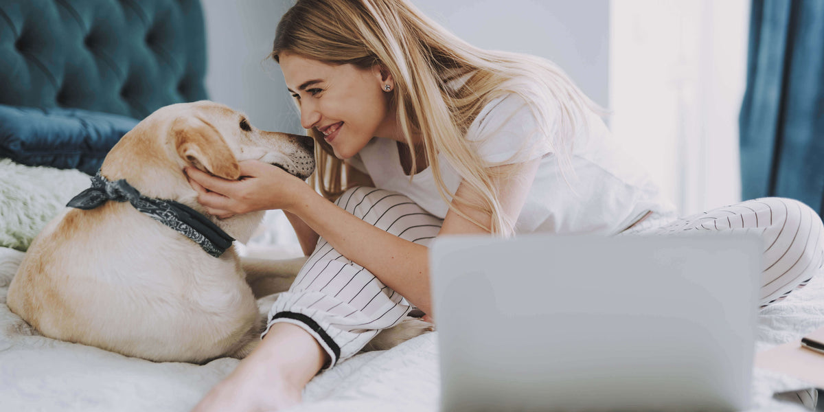 Frau kuschelt mit Ihrem Hund im Bett 