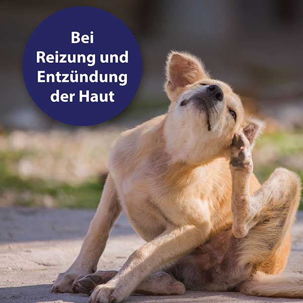 Canosept Hautpflegespray für Hunde 02