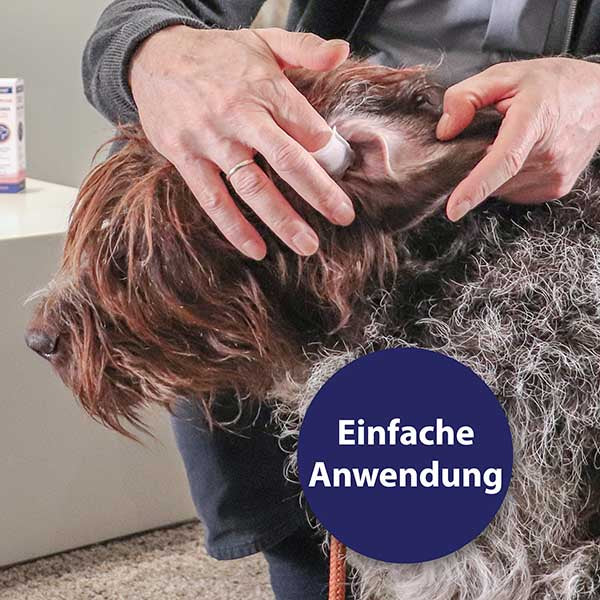 Canosept Ohrpflege-Pads für Hunde 01