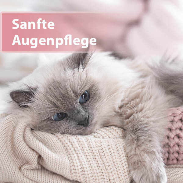 Felisept Augenpflege-Pads für Katzen Content 01