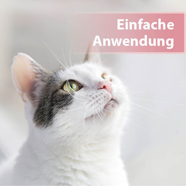 Felisept Augenpflege-Pads für Katzen Content 02