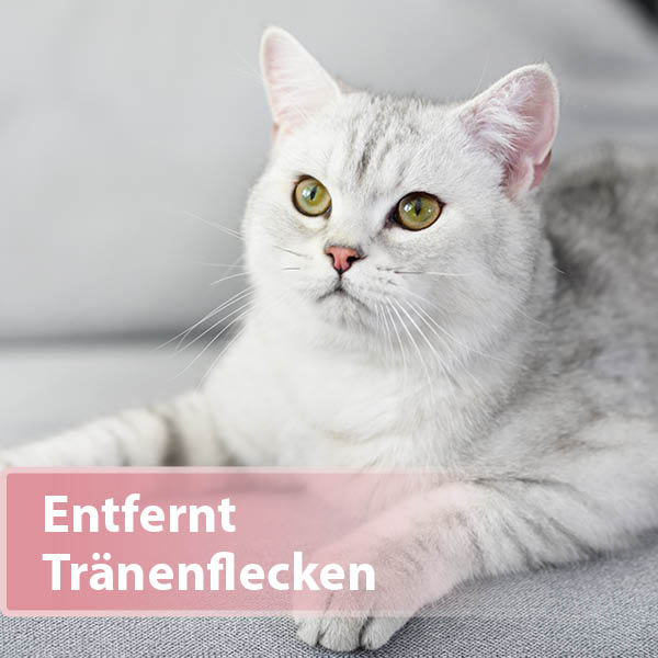 Felisept Augenpflege-Pads für Katzen Content 03