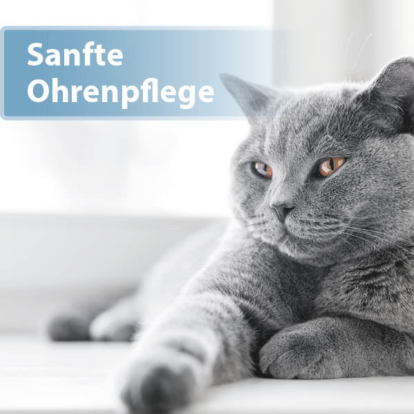 Felisept Ohrpflege-Pads für Katzen Content 01