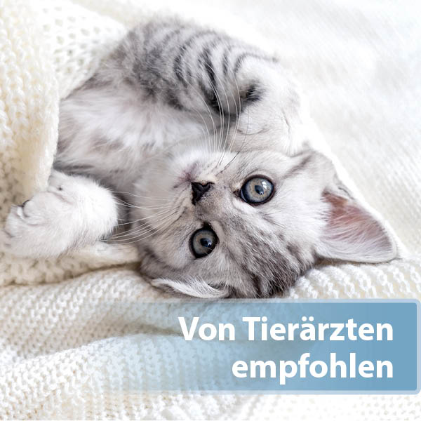 Felisept Ohrpflege-Pads für Katzen Content 04