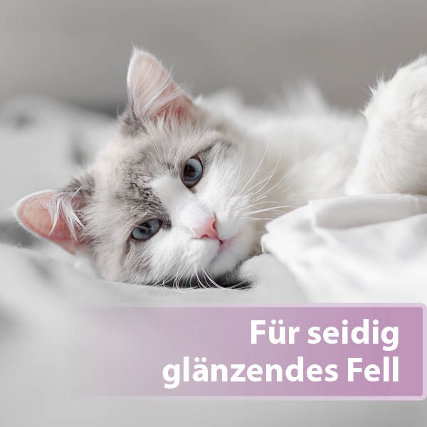 Felisept Fellpflegespray  für Katzen Content 03