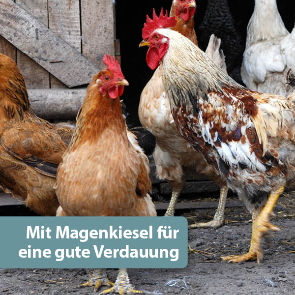 Quiko Hobby Farming - Mineralgrit mit Magenkiesel Content 02