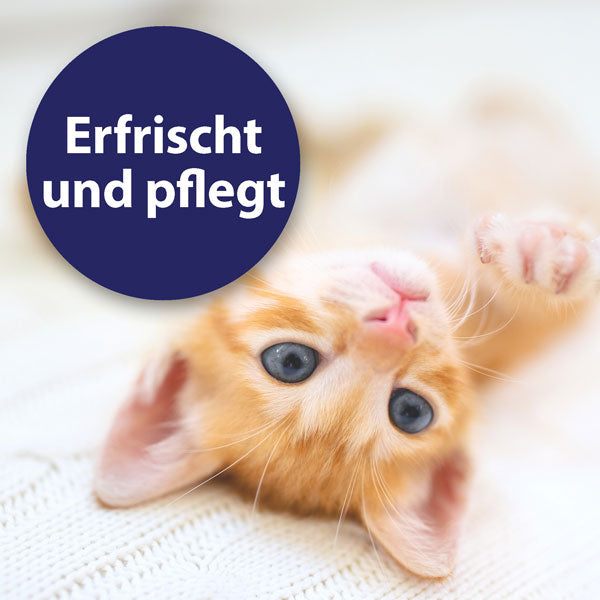 Felisept Hautpflegespray für Katzen 250ml