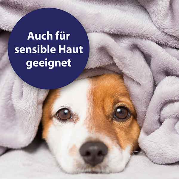 Canosept Augenpflege für Hunde Ardap Care GmbH