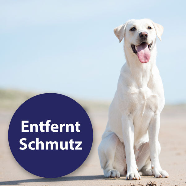 Canosept Ohrreiniger für Hunde 01