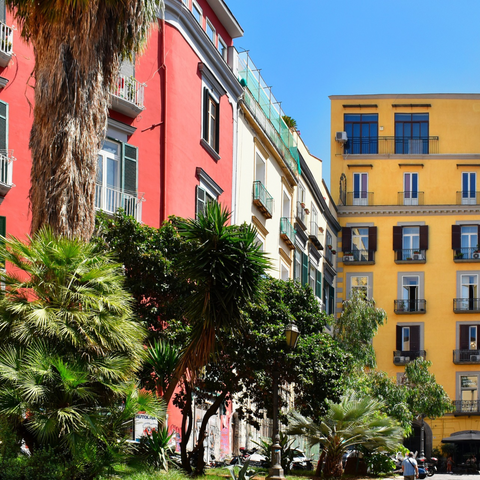 yellow, pink buildings, trees