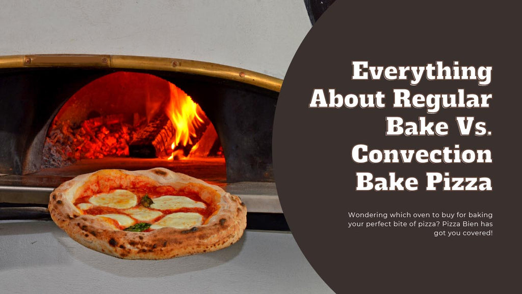 Convection Vs. Conventional Oven: What's The Difference?, Blog