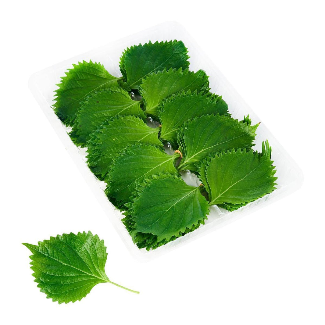 Shiso