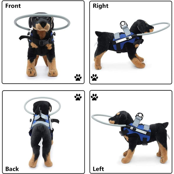 blind pet anti-collision ring model display