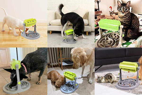 dog puzzle feeder toy promotes healthy diet