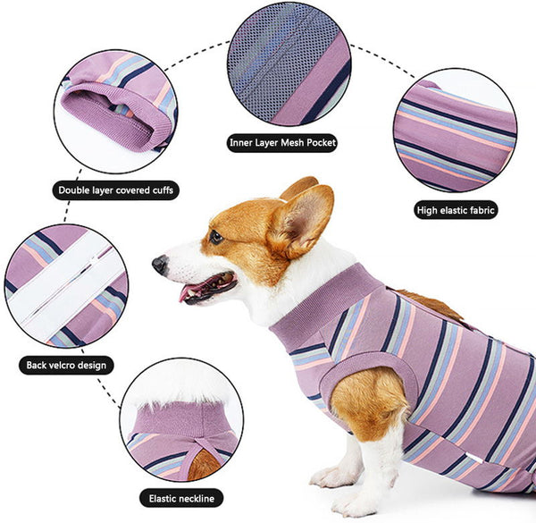 soft dog recovery suit is safe and friendly for your injured pet