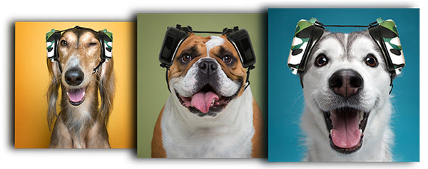 protect your dog's hearing with noise-cancelling dog earmuffs