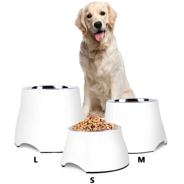 elevated dog bowl display