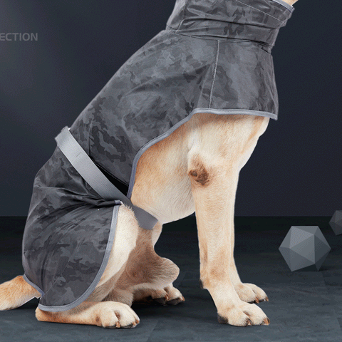 full body reflective dog vest