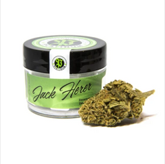 Certyfikowany Susz CBD Jack Herer od Cannabis Platinum