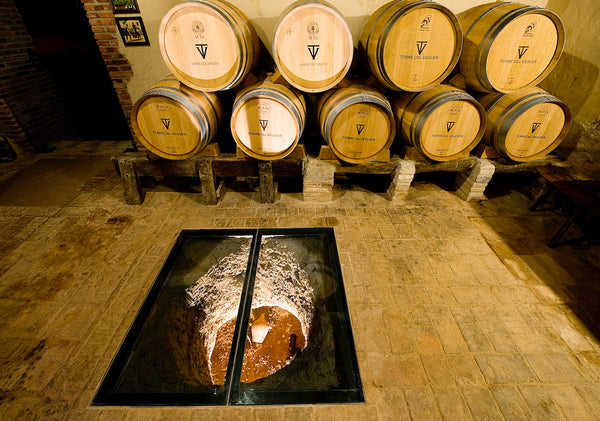 Barrel room in Torres del Veguer