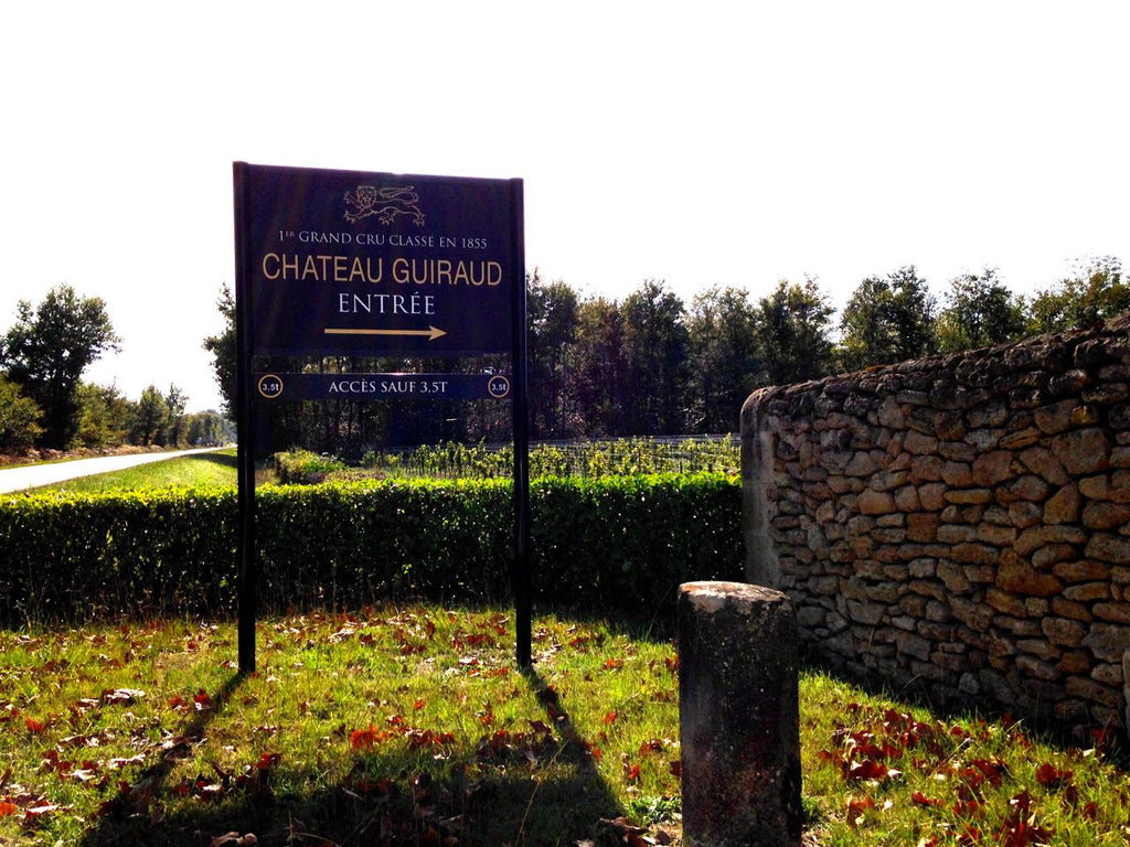 The village of Sauternes, France and its famous Noble Rot | Lazenne