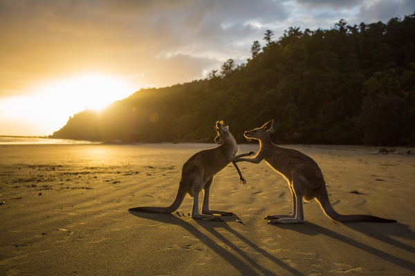 Margaret River