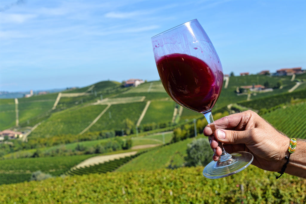 Piedmont Wine Region