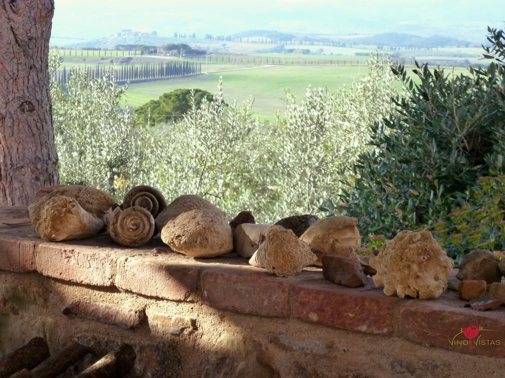 Fossils at Máté Winery looking out towards the west