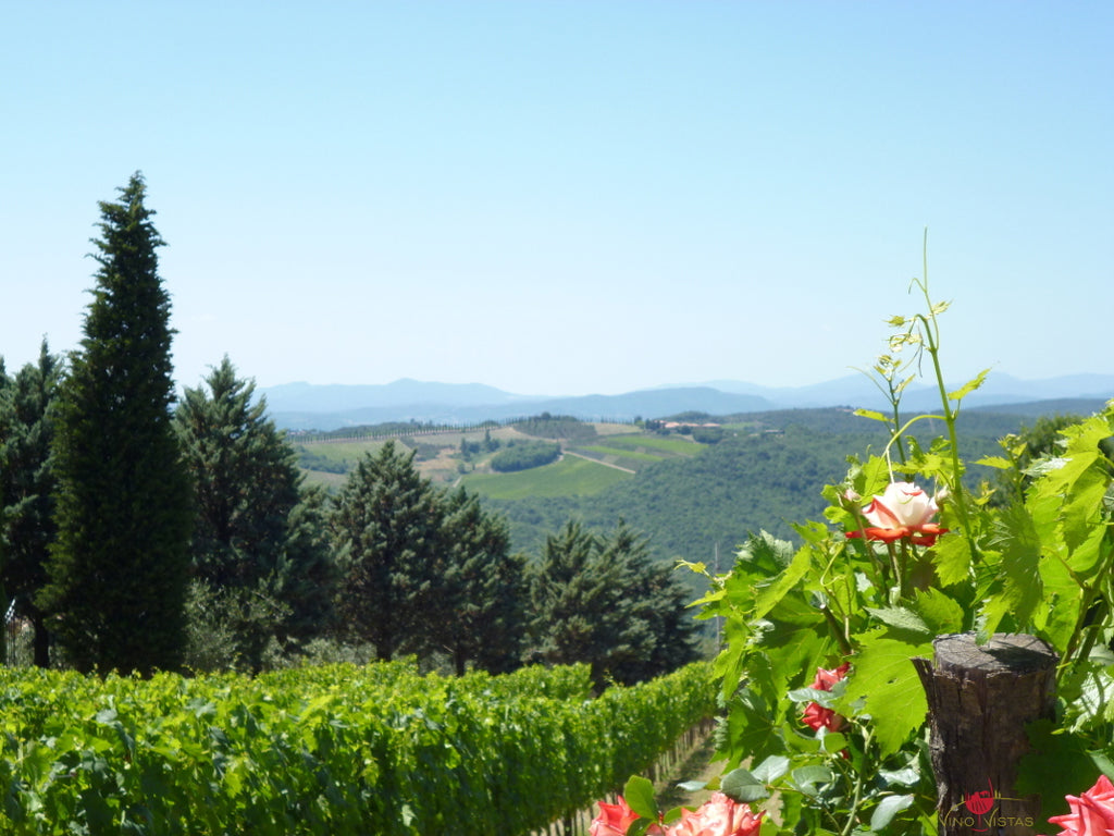 Looking west  towards Corte Pavone from Il Palazzone