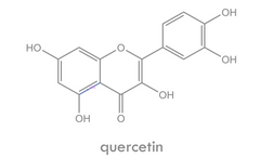 quercetin