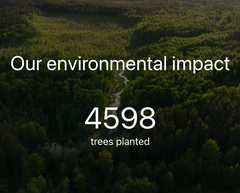 our enviromental impact  4598