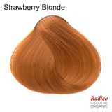 Strawberry Blonde Organic Hair Color.