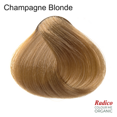 champagne blonde hair color sample