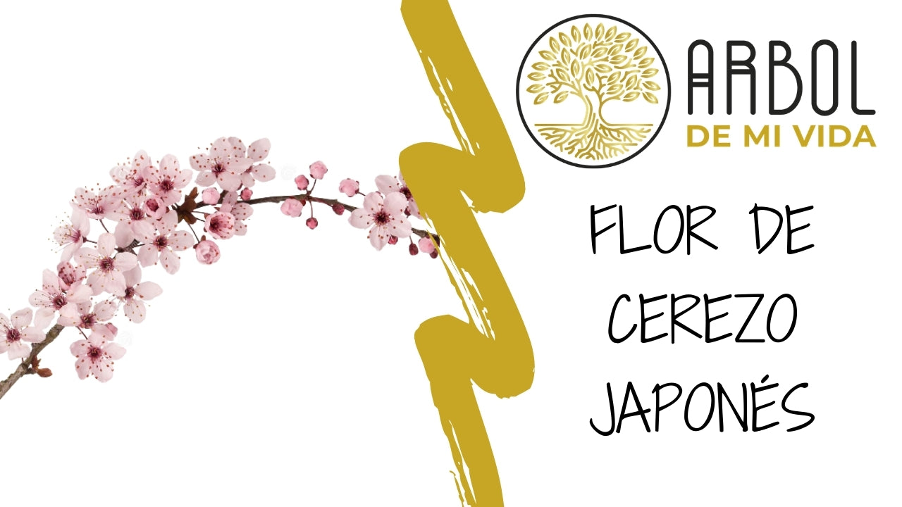 Flor de Cerezo Japonés: Una Metáfora de la Naturaleza Cíclica de la Vi -  Arbol de mi Vida™