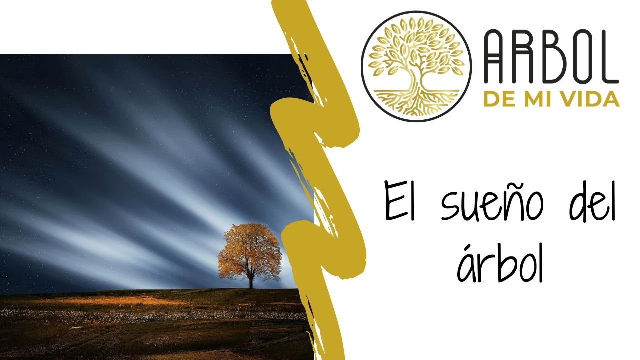 Soñar con Árboles: Significado e Interpretación - Arbol de mi Vida™