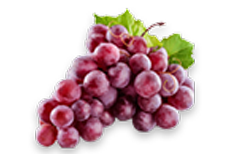 Grapes Draksha

