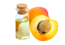 Apricot Kernel Oil


