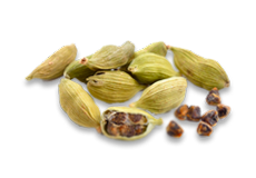 Cardamom


